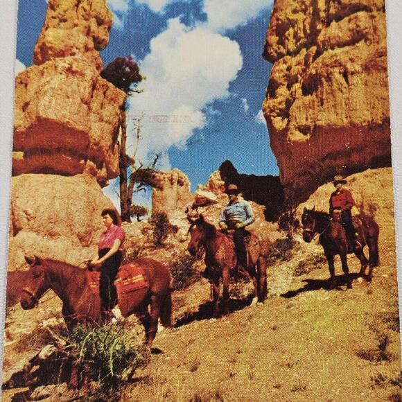 Vintage New Color Photo Post Card Mossy Cave Trail Bryce National Park - Picture 2 of 5